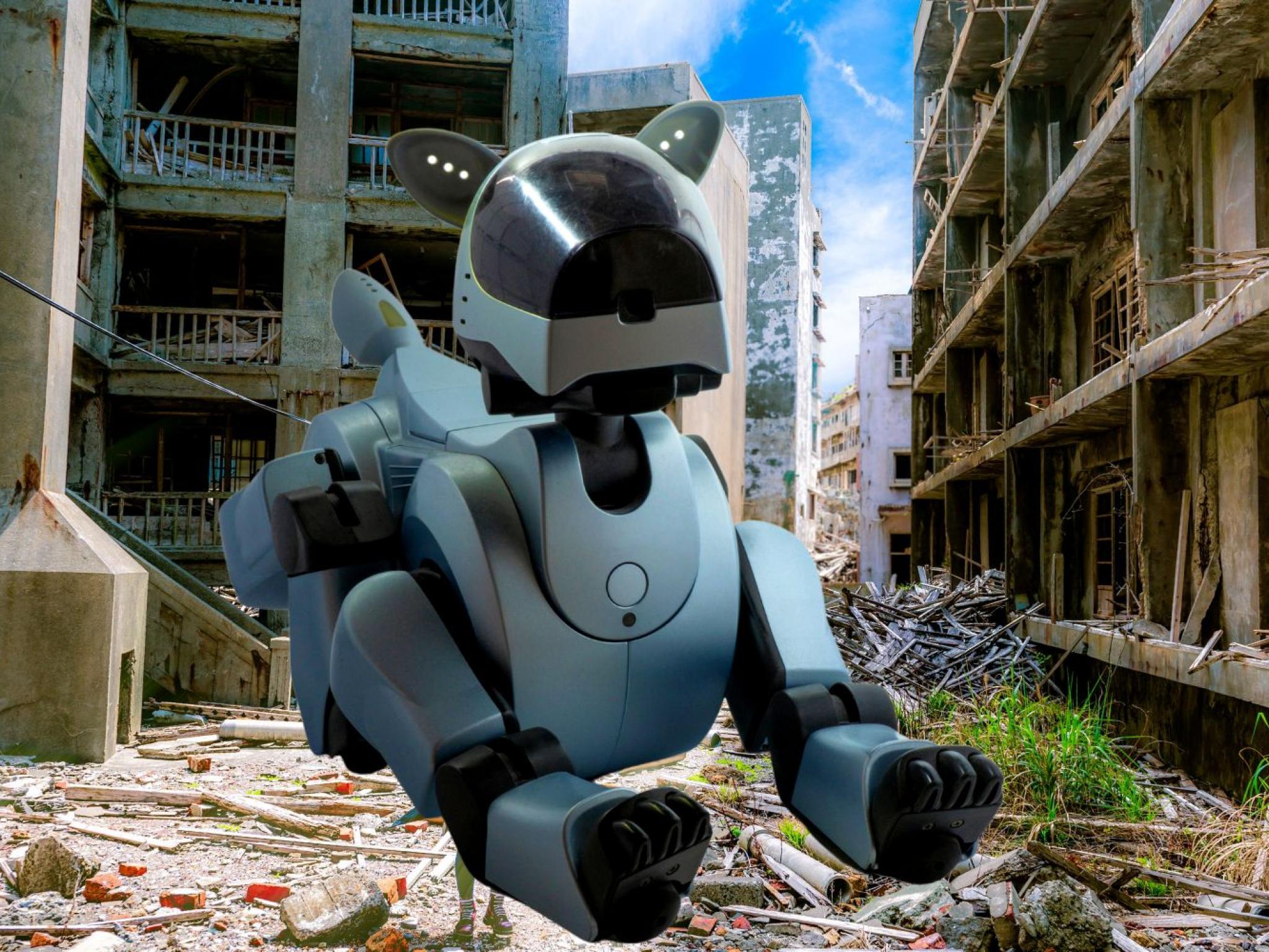 WATCH China Airdrops MILITARY Robot Dog Armed With Machine Gun And